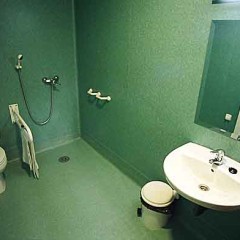 Baño geriátrico